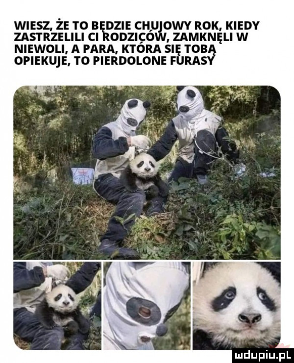 wiesz ze to będzie ch u owy rok kiedy zastrzelili cl odziqo zamknęli w niewoli a para ktora się tobą opiekuje. to pierdolone fugasy   m