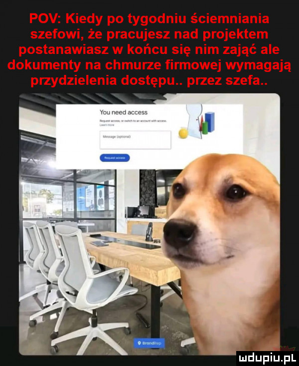 Obrazek
