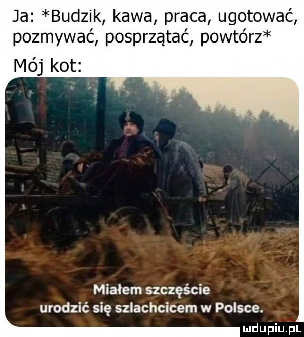 ja budzik kawa praca ugotować pozmywać posprzątać powtórz mój kot miałem szczęście urodzić się szlachcicem w polsce