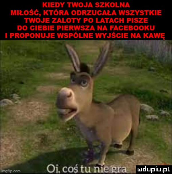 Obrazek