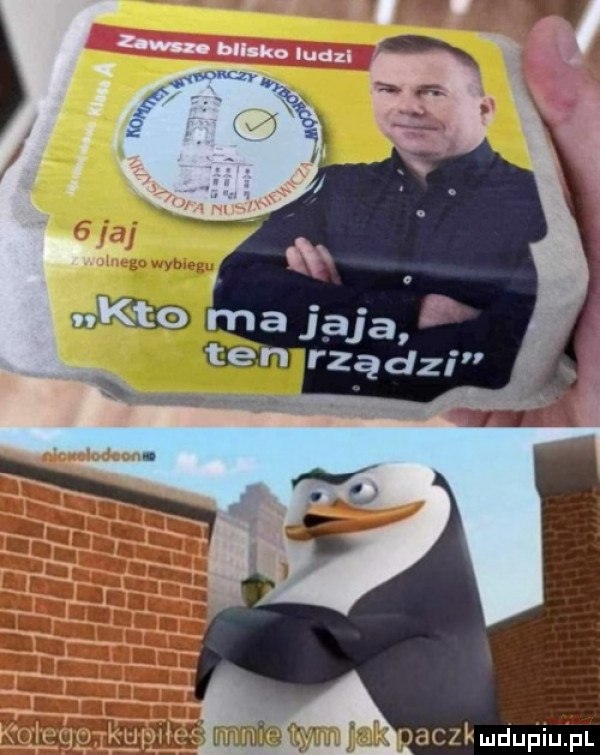 Obrazek