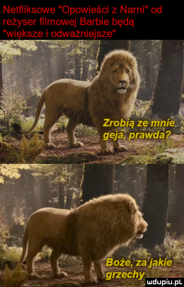 rz hy ludupiu. pl