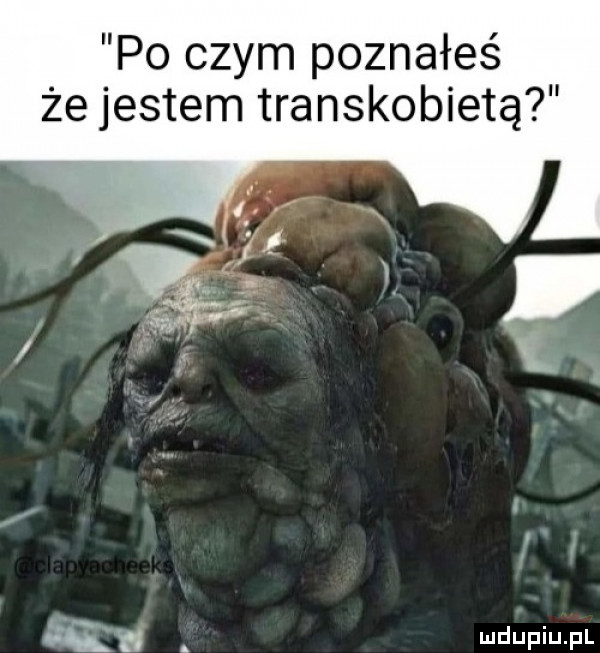 po czym poznałeś że jestem transkobietą a