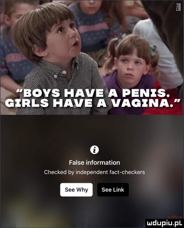 esovs hace a penis. an hace a vaoinaj li max m falce information checked by independent fajt checkers