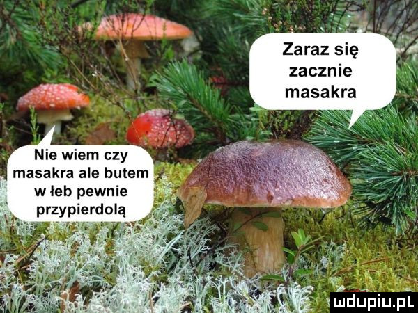 zaraz się zacznie masakra nie wiem czy masakra ale butem w leb pewnie przypierdolą