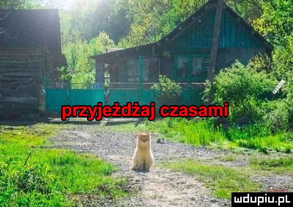 Obrazek