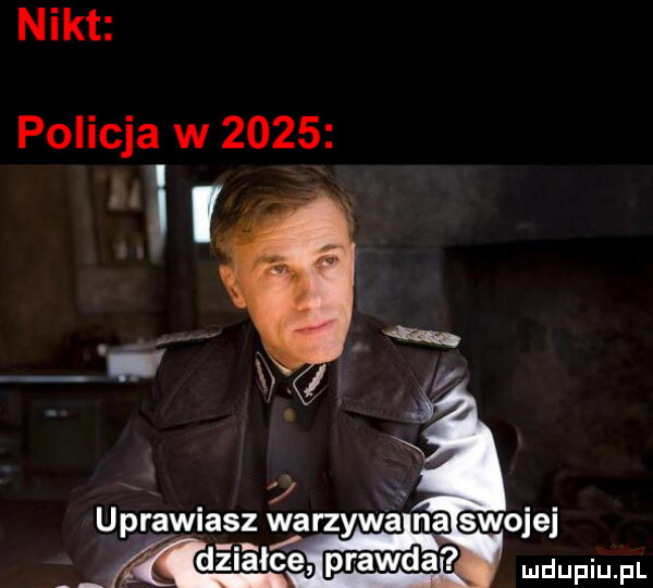 nikt policja w