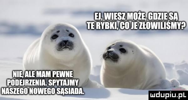 h wiesi milże glllie sa i e rybkitgii ie ihiwiiiśmy