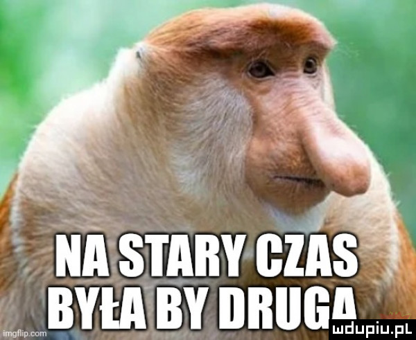 na saaby bias bai a  by bbiig a mn plam
