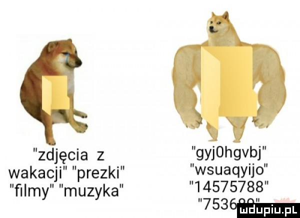 zdjęcia z ngohgvpj wakacji prezki stuaqyljo l ﬁlmy muzyka
