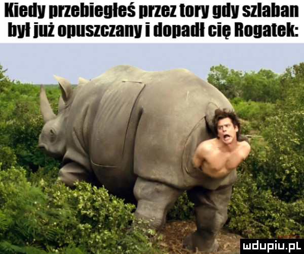 iliady nnelliegleś illlel  w ell szlaban wi ileż oiiiislglaiiv i llllllalll gil nogajek