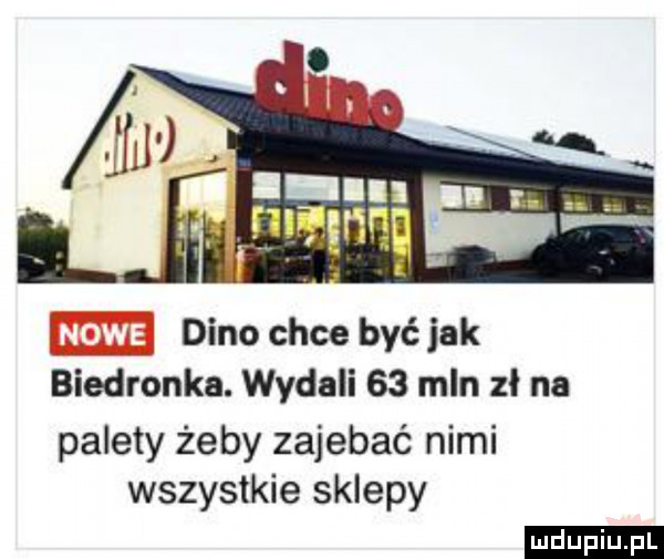 m dino chce być jak biedronka. wydali    mln zł na palety żeby zajebać nimi wszystkie sklepy ludu iu. l