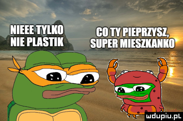 x iiieee tylilll hme pisi iii    ty piai iiivsz siei ebi mieszka