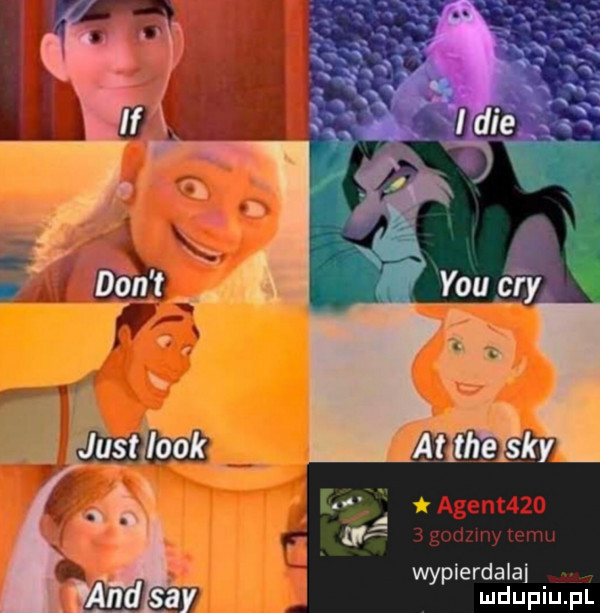t agentdzo wypierdalai