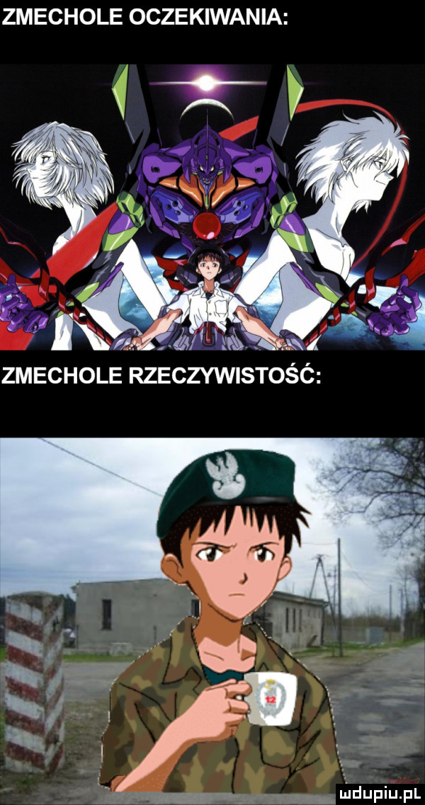 zmechole oczekiwania