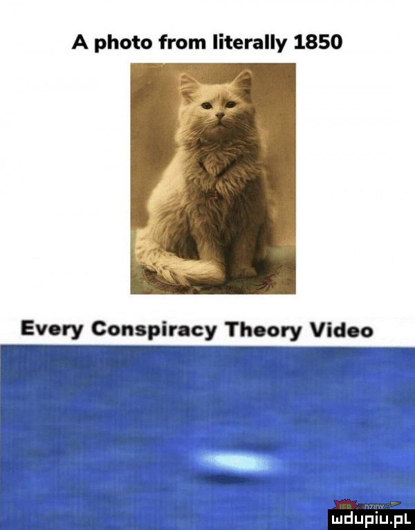 a ploto from literalny      esery conspiracy theory video icc i t