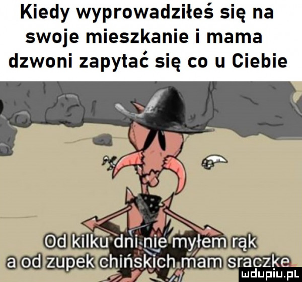 kiedy wyprowadziłeś się na swoje mieszkanie i mama dzwoni zapytać się co u ciebie od kilku dni nie myłem rąk a od zupek chińskich mam sraczka ludupiu. pl