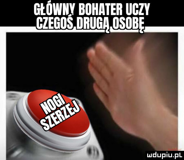 główny bagien uczv camus nnua