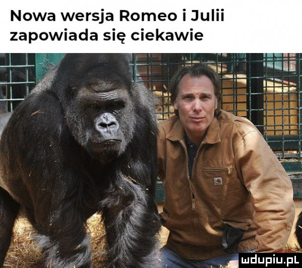 nowa wersja romeo i julii zapowiada się ciekawie