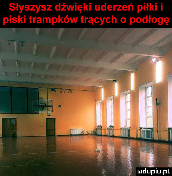 mdupiupl