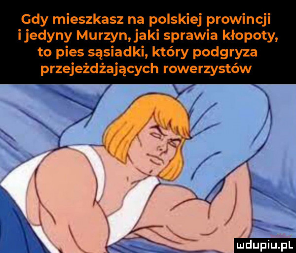 gdy mieszkasz na polskiej prowincji ijedyny murzyn jaki sprawia kłopoty to pies sąsiadki który podgryza przejeżdżających rowerzystów
