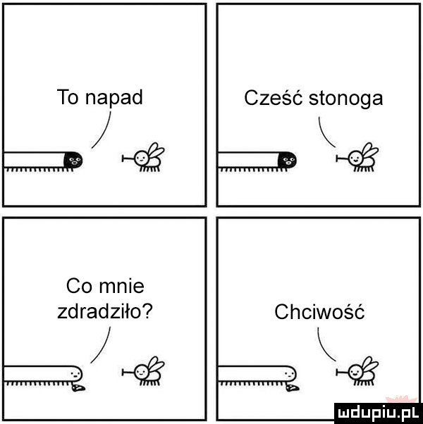 to napad cześć stonoga m co mnie zdradziło m chciwość