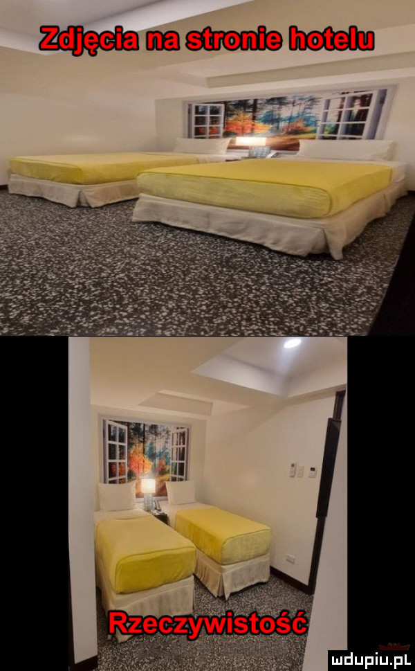 zdjęcia ie