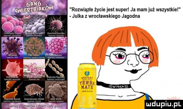 rczwląxle łycle jest super ja mam już wszystkie julka   wmnoawskiego jagodna