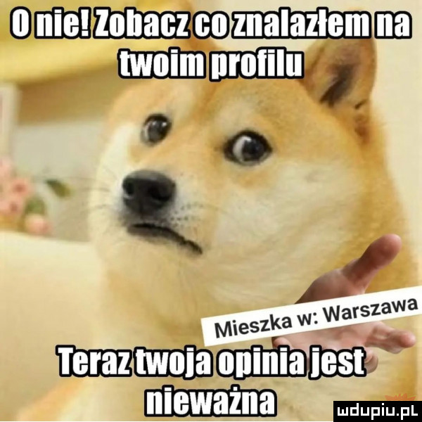 mieszka w warszawa mm emu
