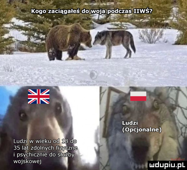 kogo zaciągałeś dogwoja podczas iiwś żre a opcjonalne ludzi w wieku od    de    lat zdolnych fizyczne i psycmcznie do woskowe udupiu pl