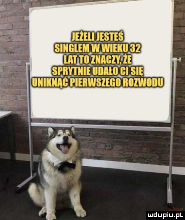 Obrazek