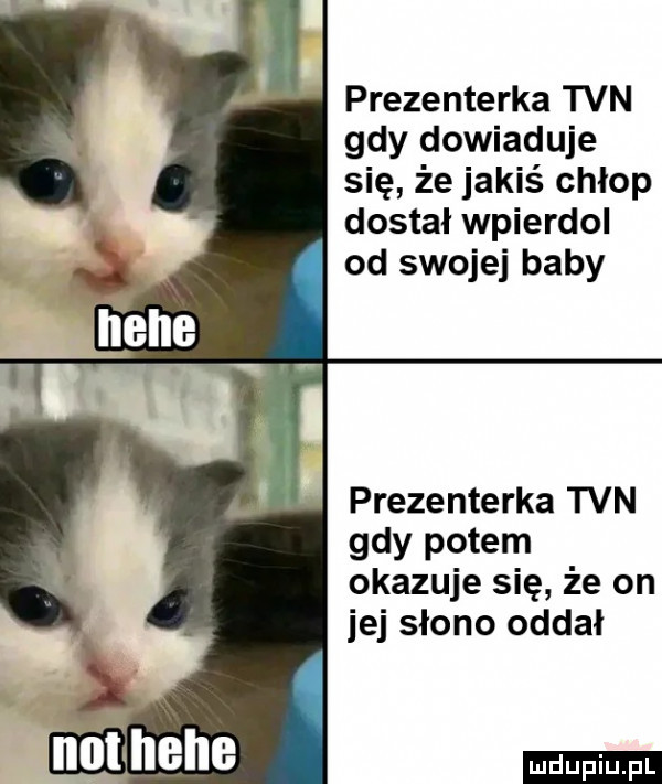 prezenterka tvn gdy dowiaduje się że jakiś chłop dostał wpierdol od swojej baby prezenterka tvn gdy potem okazuje się że on jej słono oddał ludu iu. l