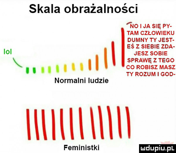 skala obrażalności no ja się py tam cuowmxu dumny ty jest eś z siebie zda   jesz sobie x. abakankami sprawęztego co robisz masz ll. tyrozumigod normalnl ludne ll feministki