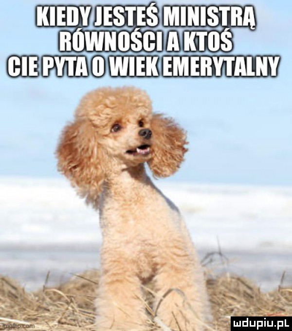 kiedy estes ministra bównośgi a ktoś