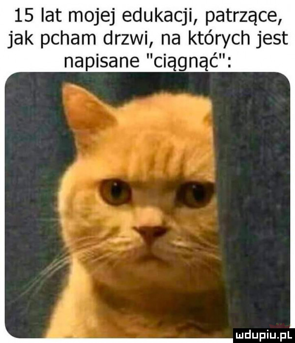 lat mojej edukacji patrzące jak pcham drzwi na których jest napisane ciągnąć