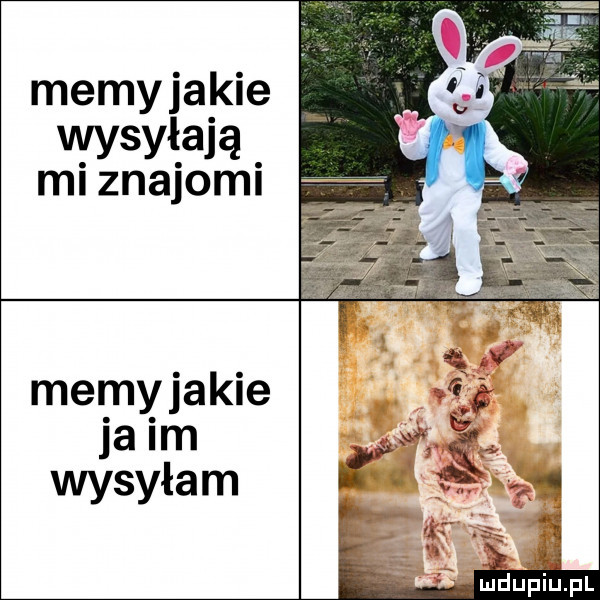 memyjakie. www. ml znajoml memyjakie ja im wysyłam