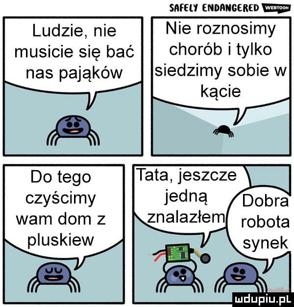 serw mnnncckmww ludzie nie nie roznosimy musicie się bać chorób i tylko nas pająków siedzimy sobie w czyścimy wam dom z pluskiew m