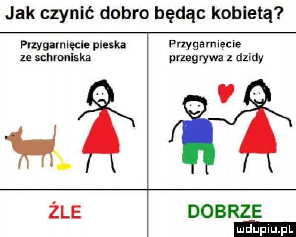 jak czynić dobro będąc kobietą przygarnięcie pieska przygarnięcie ze schroniska przegrywa z dzidy