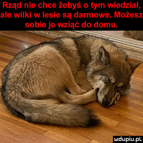 Obrazek