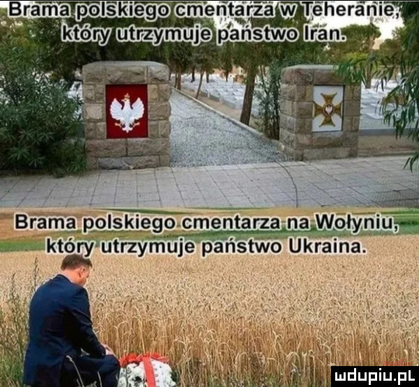 Obrazek