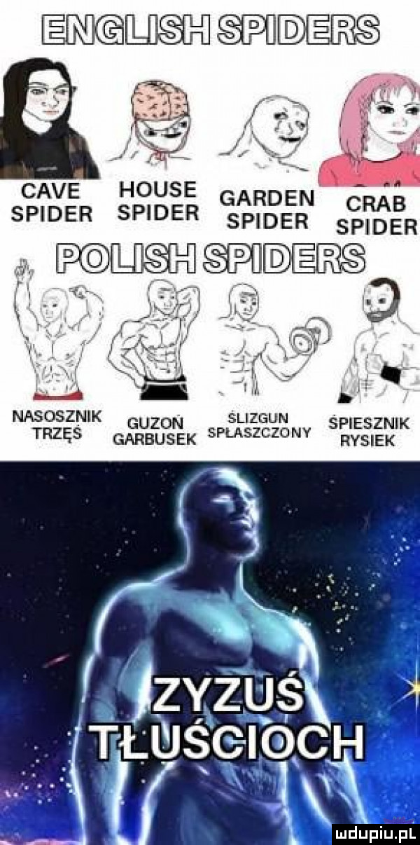 was i ie m. f cave house gardan rab spider spider ssppiider sscię iber li spideng nasosznik slizgun gazon śpiesznik trzos garbusek spuszcza ny rysiek