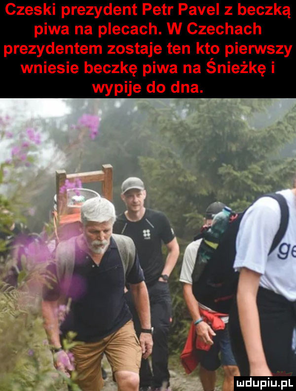 Obrazek