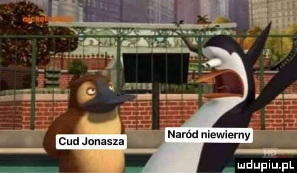 mduﬁupl