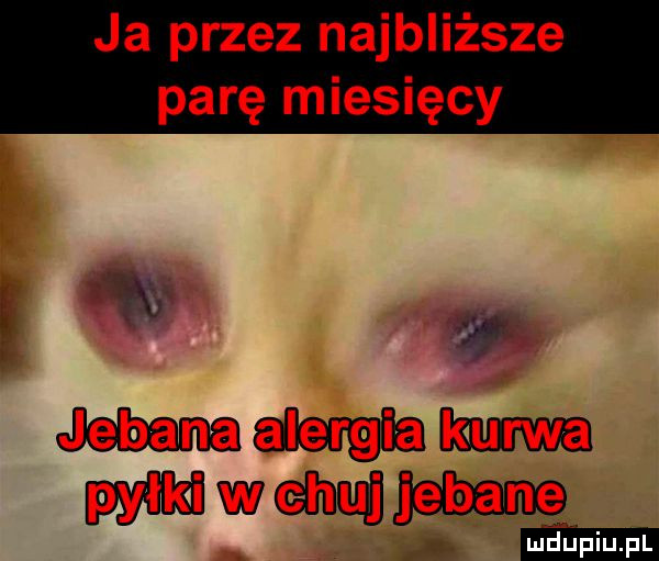 ja przez najbliższe parę miesięcy fj v job mam pylﬂwacahudjm duciu. pl