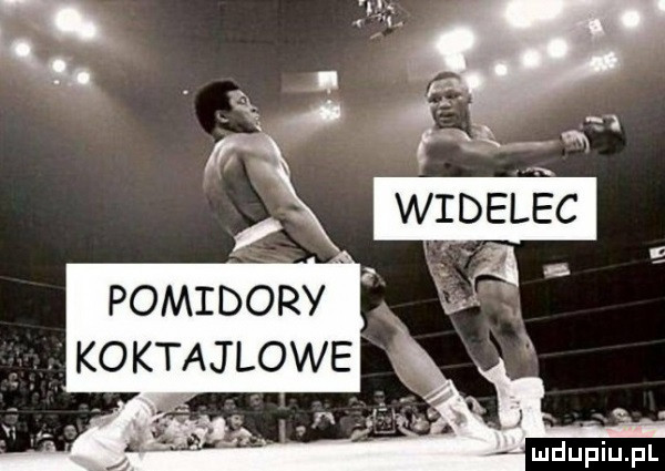 pomidory. koktajlowe