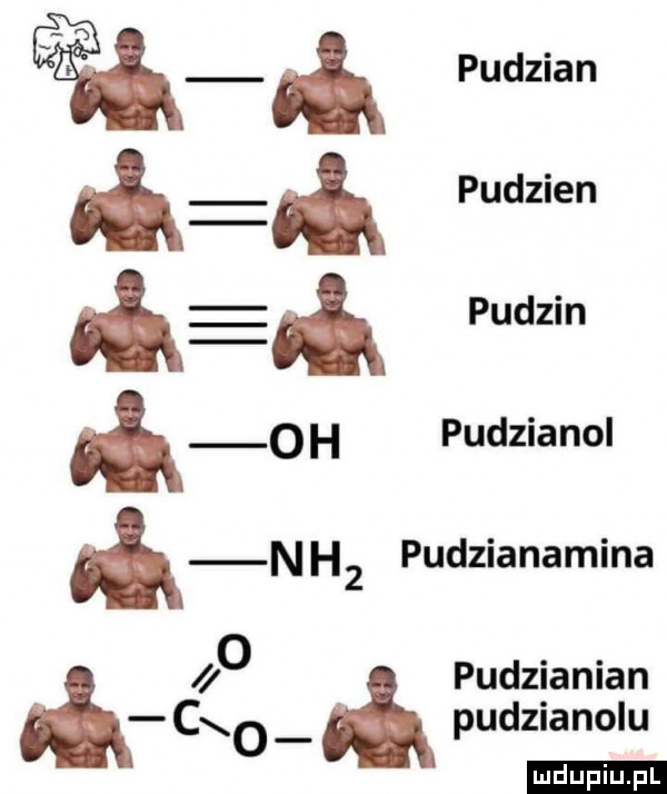 ff pudzian ązą pudzian aaa pudzin o h pedzia nol a nh  pudzianamina o pudzianian ą l ceo pudzianolu ludu lu. l