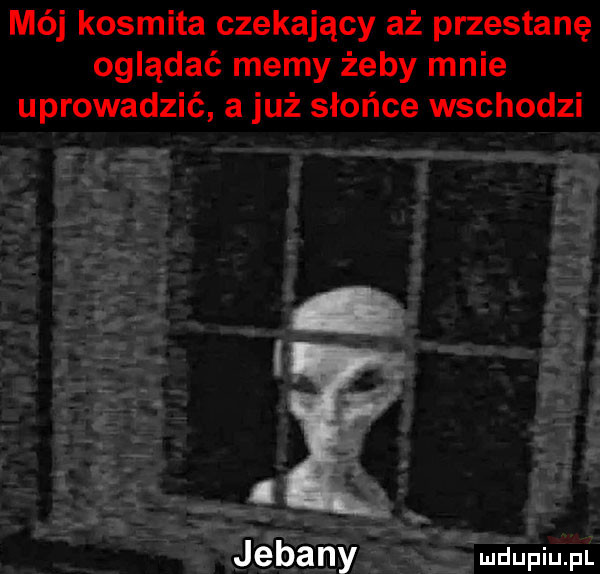 mój kosmita czekający aż przestanę oglądać memy żeby mnie uprowadzić a już słońce wschodzi jebany