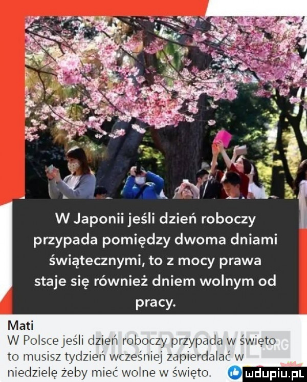 w japonii jeśli dzień roboczy przypada pomiędzy dwoma dniami świątecznymi to z mocy prawa staje się również dniem wolnym od pracy. maci w poiscejeśii dzień roboczy przypada w święto to musisz tdeień wcześ ej zapierdalać w niedzielę żeby mięć wodne w świętq w