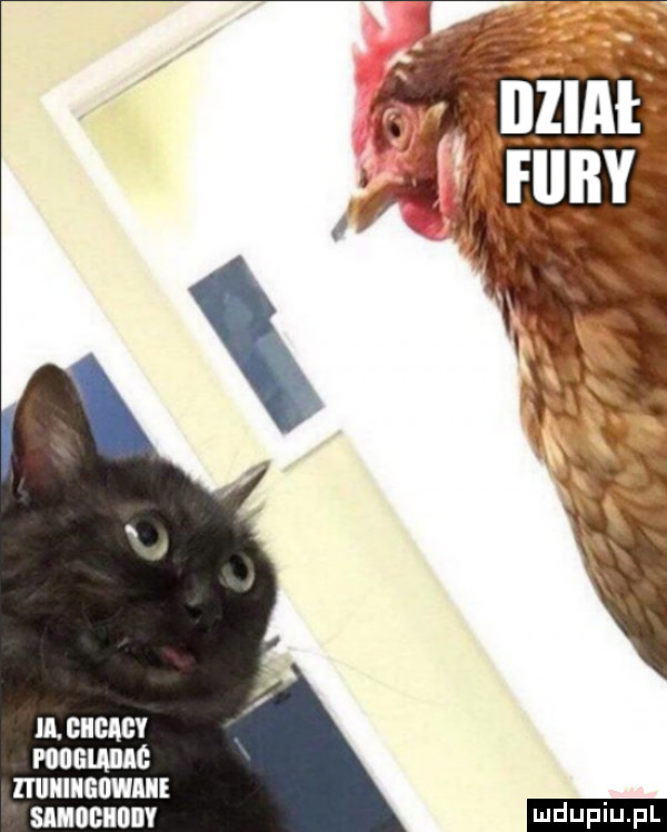 ll. giibagv point albie ltullllgﬂwlie smeuunv