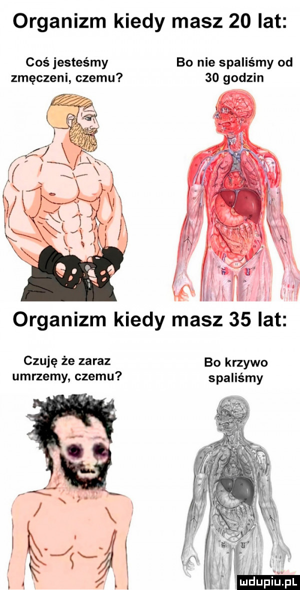 organizm kiedy masz    lat coś jesteśmy bo nie spaliśmy od zmęczeni czemu    godzin czuję że zaraz bo krzywo umrzemy czemu spaliśmy